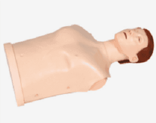 挪度半身训练模拟人(简易型) GD/CPR10170产品图片